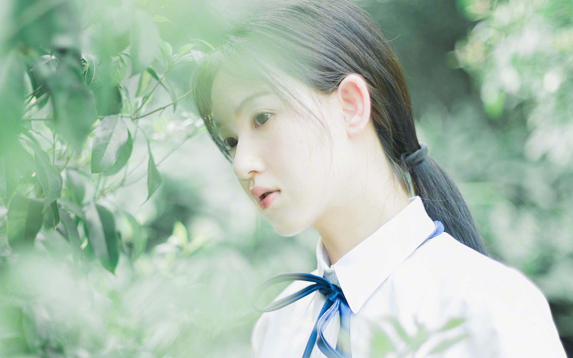 _新星崛起:青少年组赛事吸引众多目光_,舞蹈新星崛起