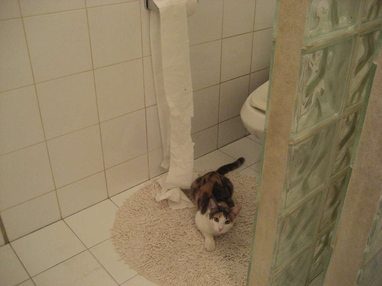 Jiuyou-“极速逆袭：惊心动魄的超车瞬间”，极速突袭全本免费阅读