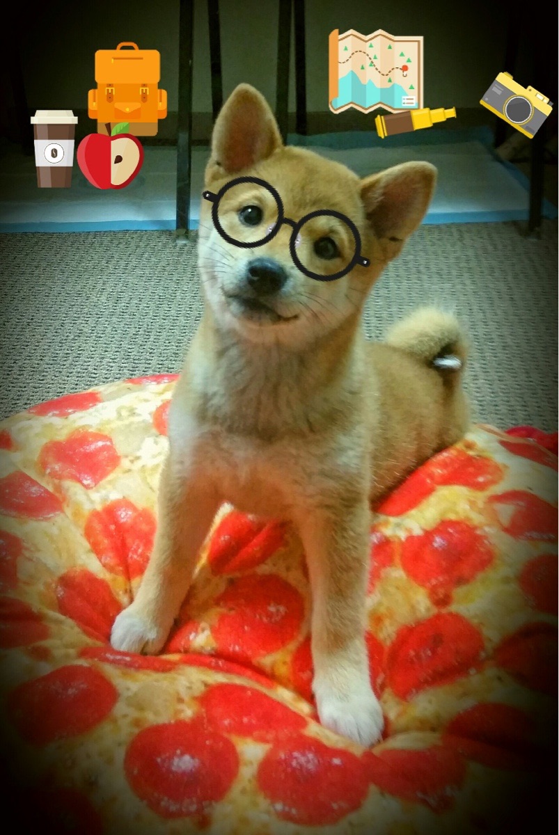 九游登录入口-《Apex英雄》全球系列赛与《使命召唤》联赛的射击电竞之争，xim apex cod