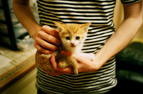 -全国各地青少年篮球训练营“校企合作”广泛展开，青少年篮球培训中心