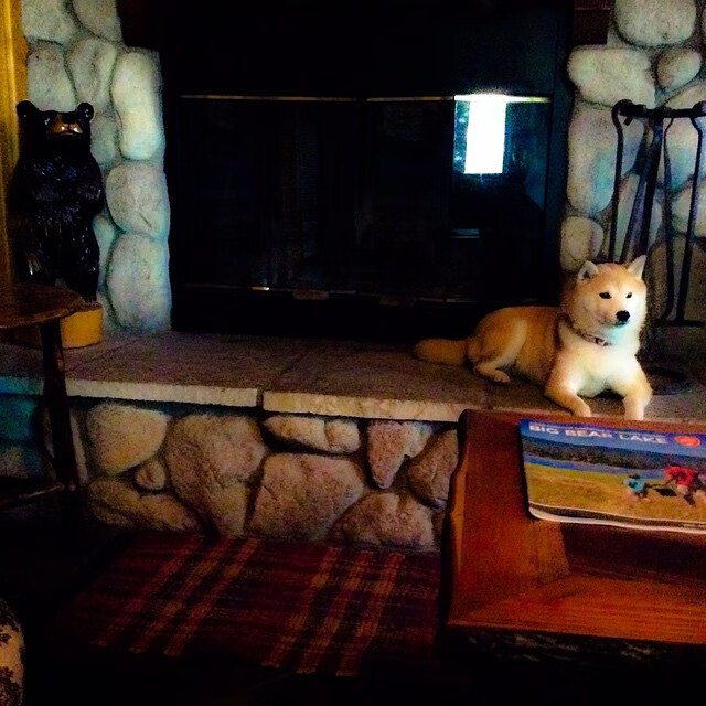 特色篮球城主题公园在全国多地落成,推广体育娱乐融合,篮球公园开放时间