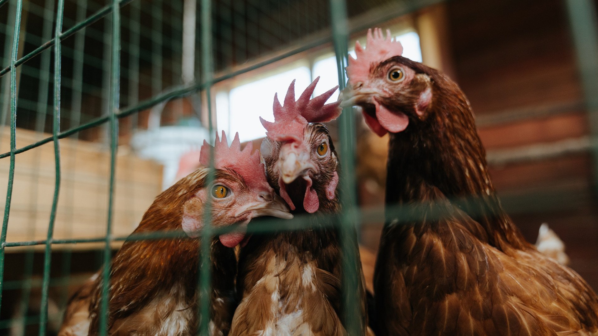 英超:曼城在补时绝杀曼联,争冠格局再起波澜,英超联赛曼城vs曼联比赛结果