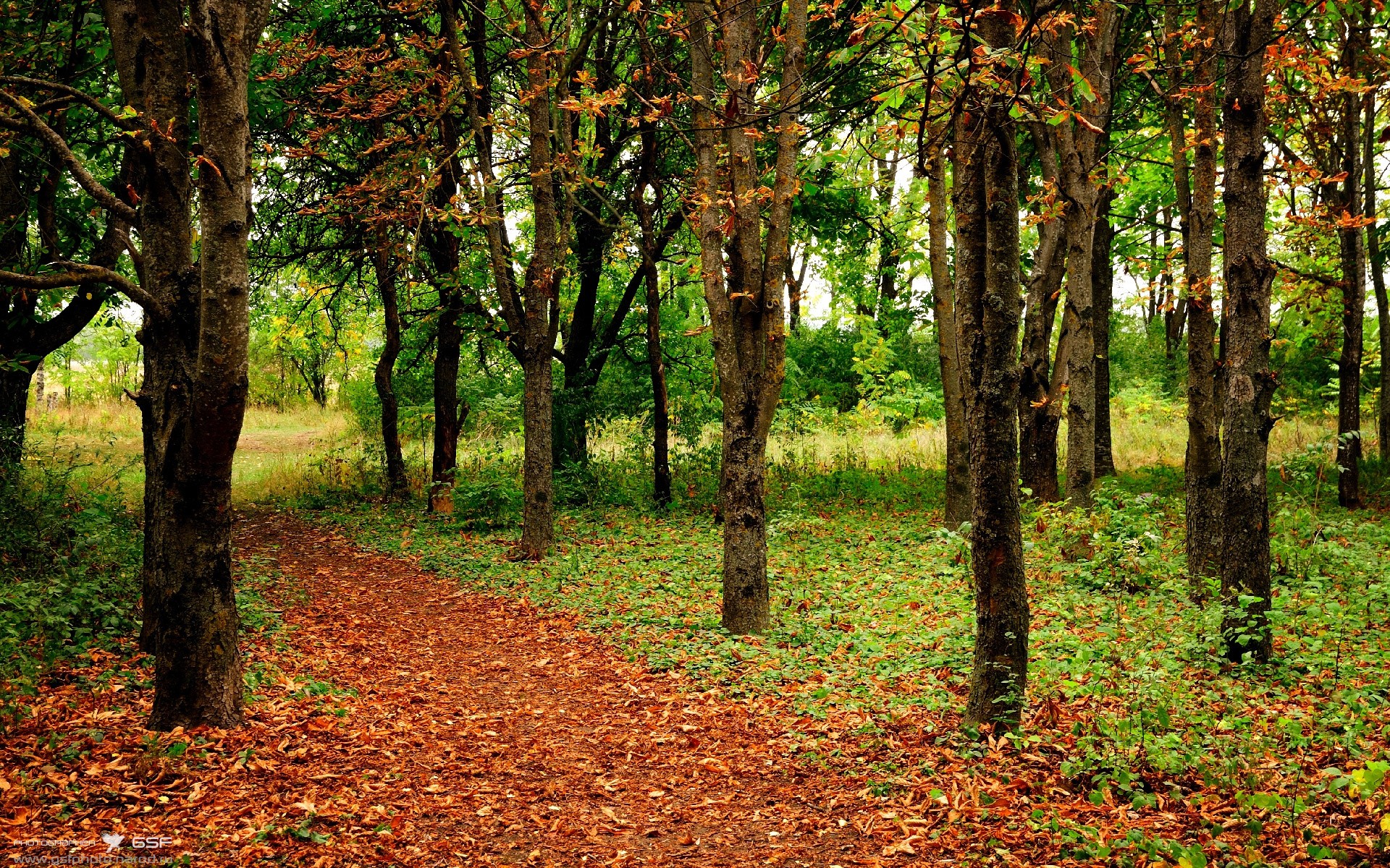 -青训摇篮：某豪门球员成长路径全纪录，青训球员标准