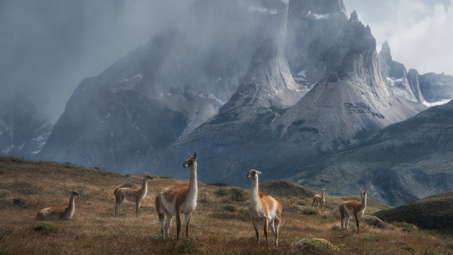 九游-加克波在对阵切尔西的比赛中贡献关键助攻，加里切克