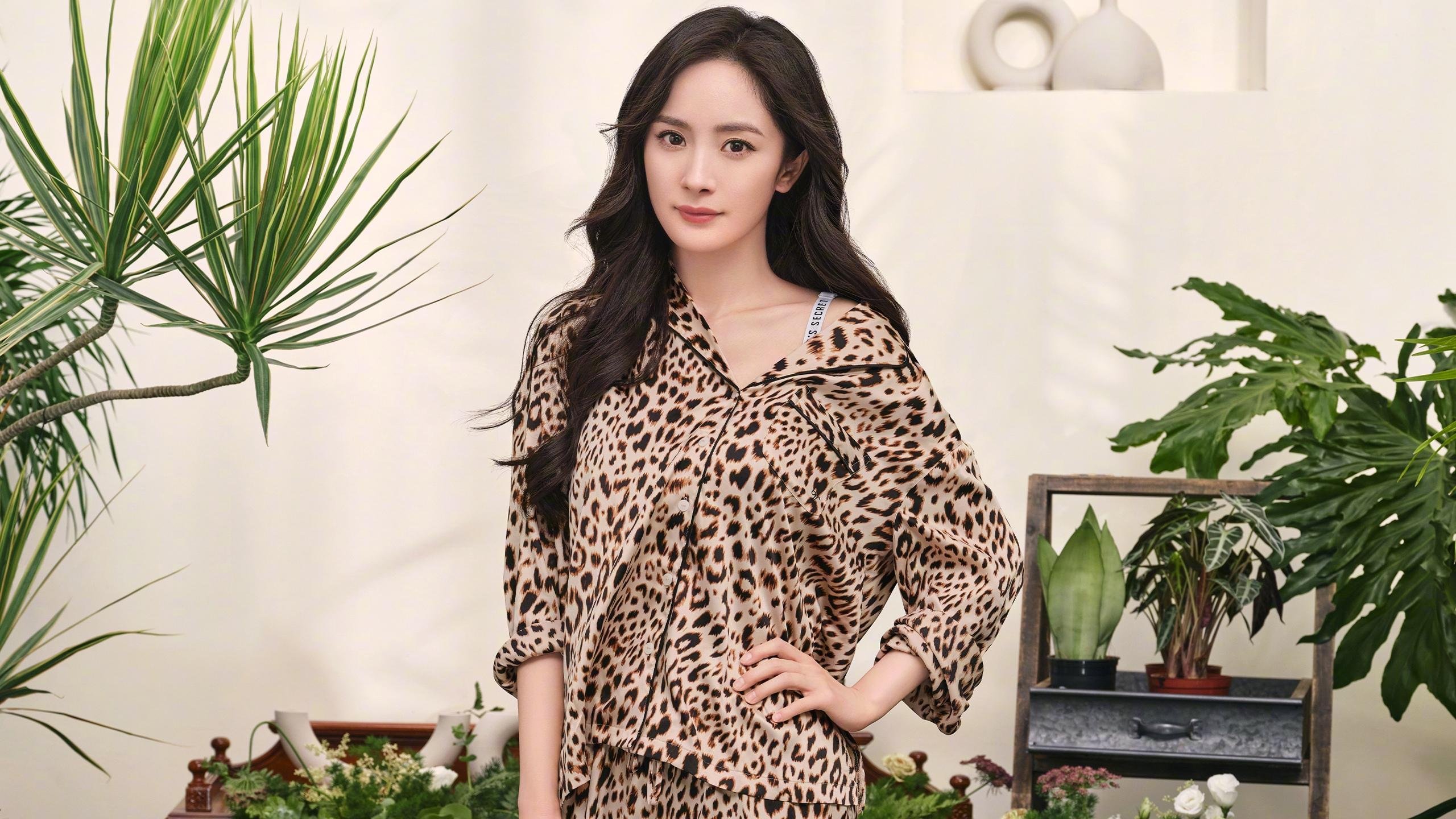 卡迪夫城主场战普雷斯顿,硬仗在即胜者谁能称雄,卡迪夫城vs罗瑟汉姆