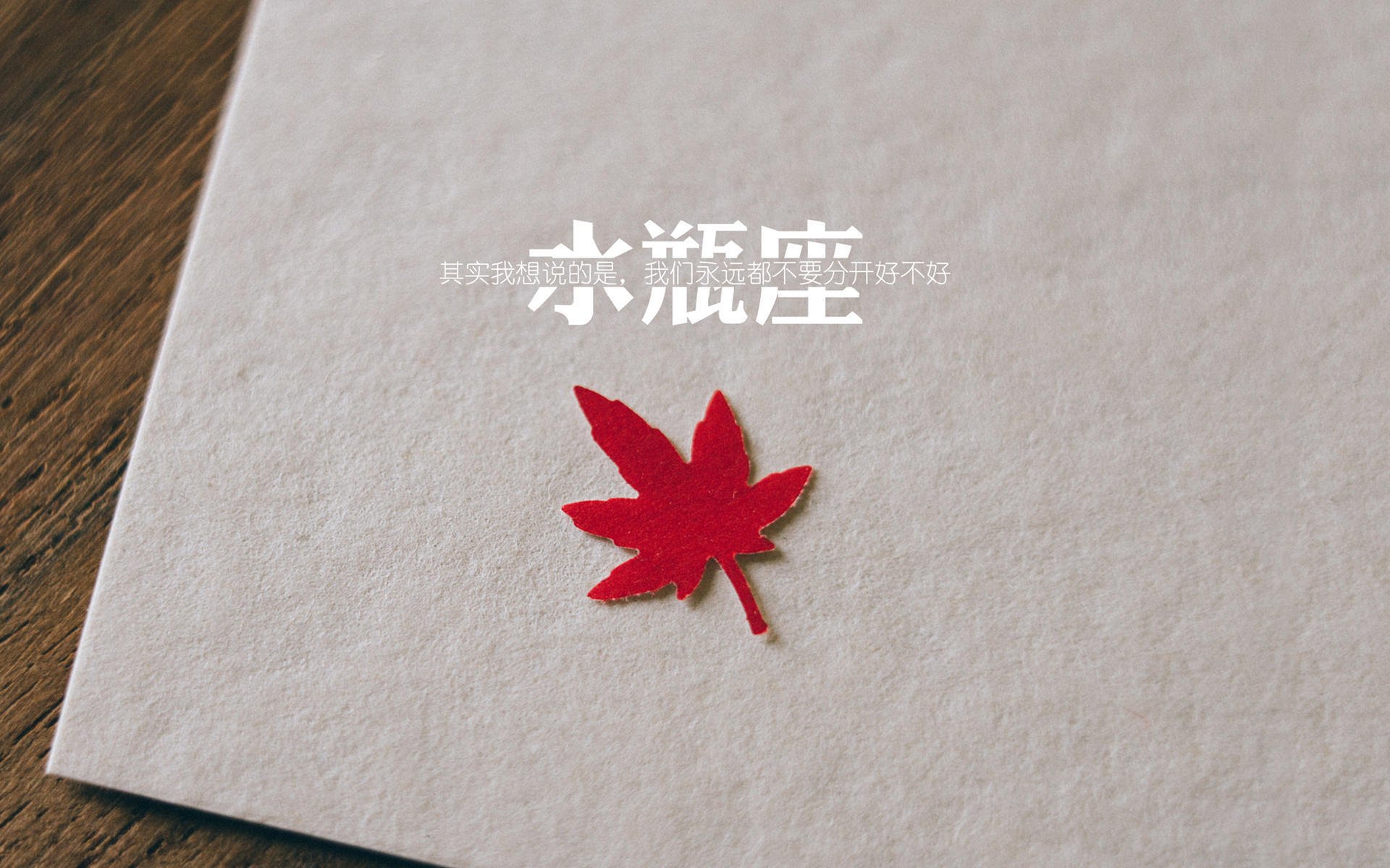 巴朗加国王年轻球员崭露头角,巴朗加国王年轻球员崭露头角视频