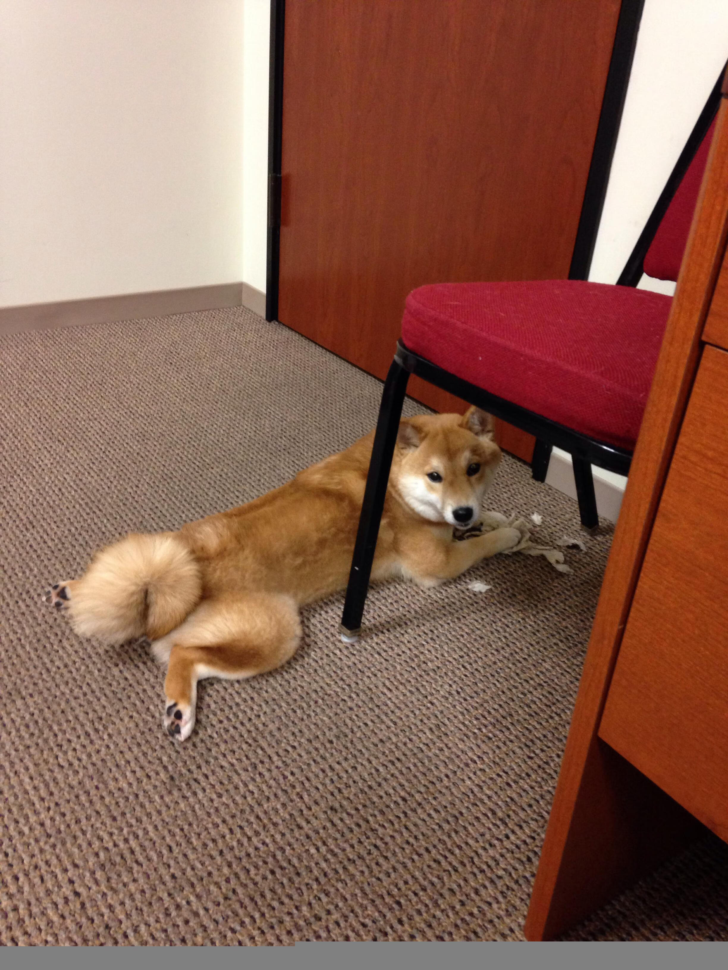 巴西男篮在巴黎奥运会小组赛中展现比赛智慧,巴西男篮奥运会最好成绩