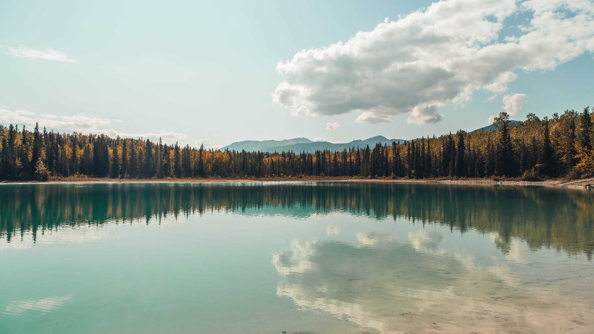 九游网页版官网入口-巴黎圣日耳曼签下西甲射手，强化锋线实力，巴黎圣日耳曼最强球员