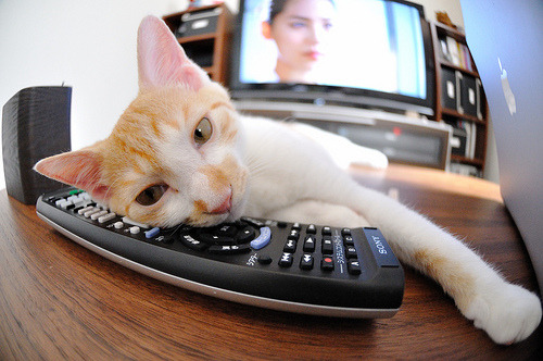 九游官网主页-教练战术调整，队员状态逐渐提升，教练技术的四个步骤