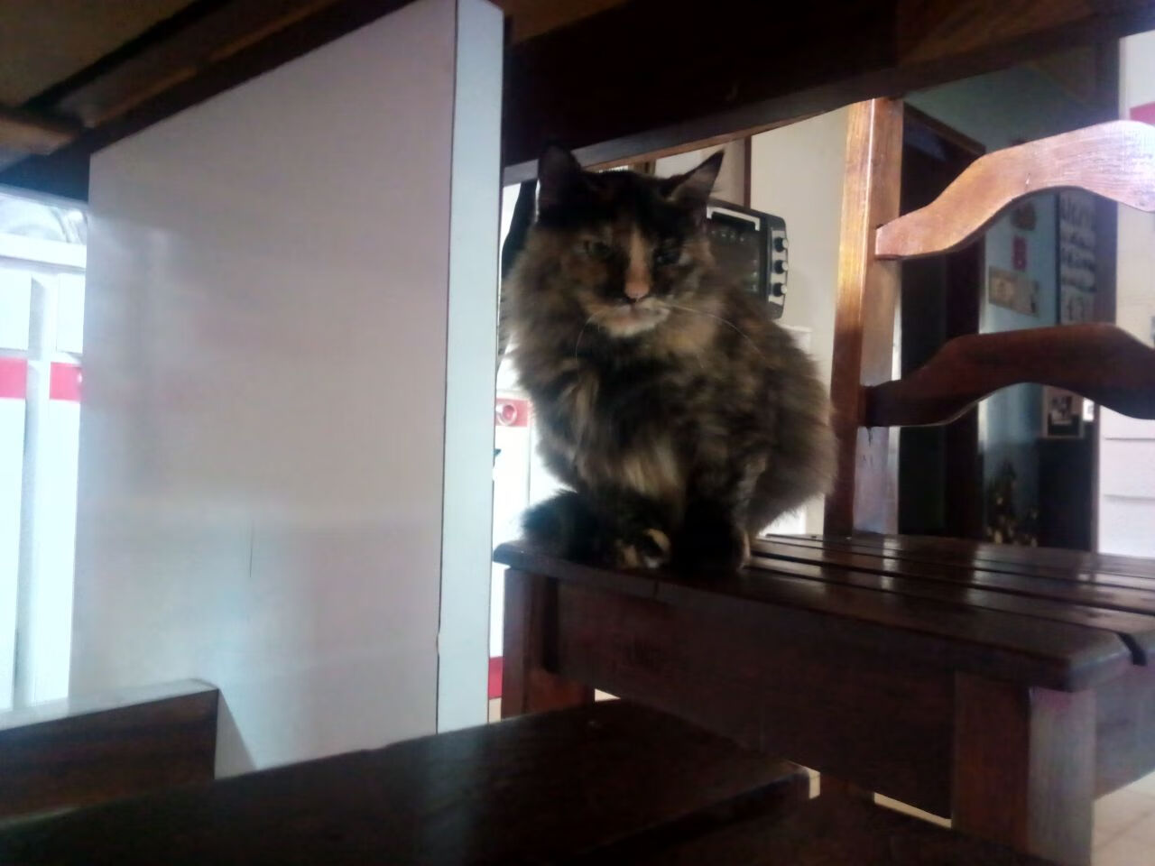 九游娱乐官网 (jiuyou)-狼队客场告捷，继续保持不败纪录，狼队比赛视频