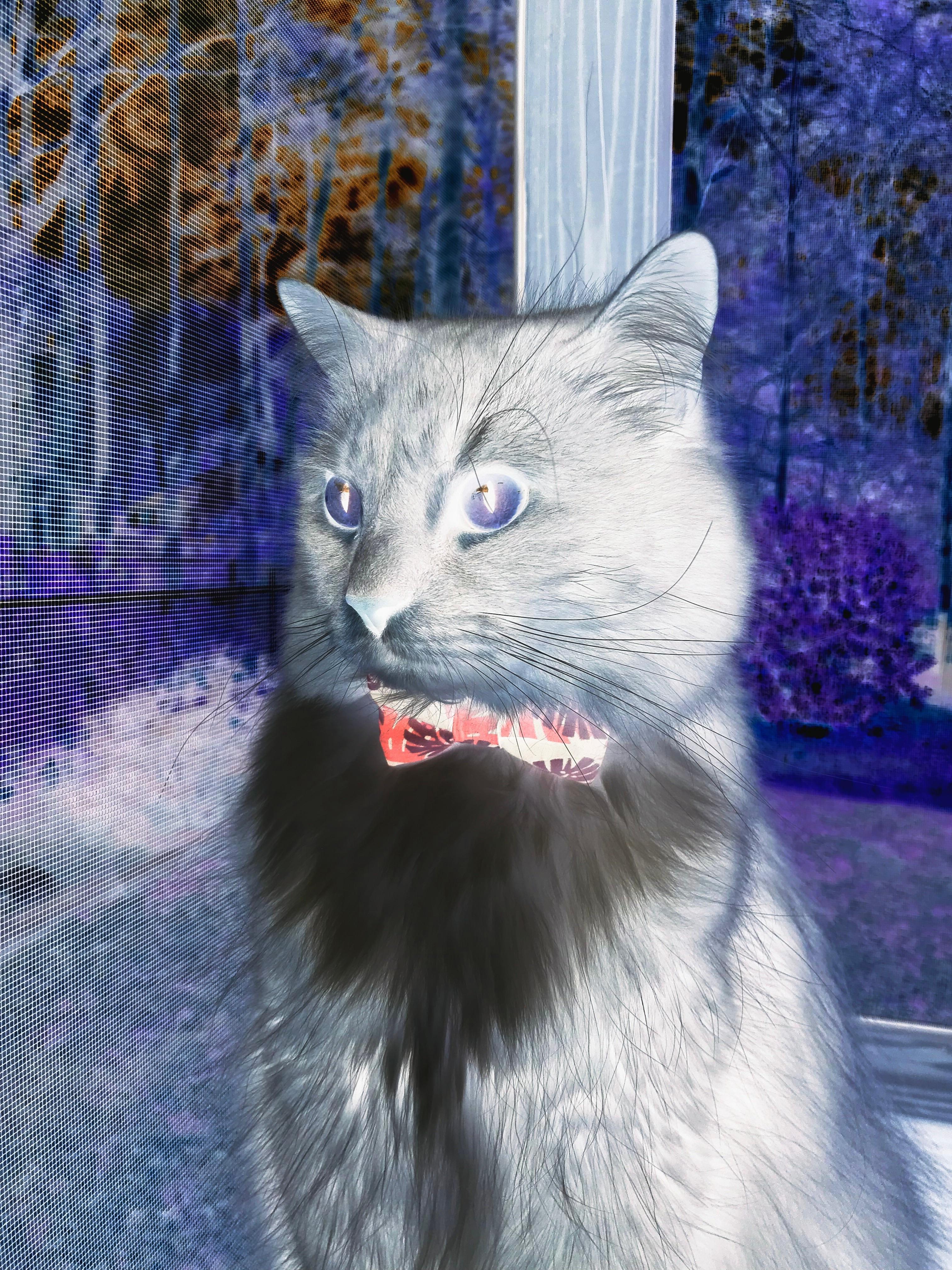 Jiuyou-瑞士队遭遇意大利绝杀，小组出线希望渺茫，瑞士队vs意大利队角球数