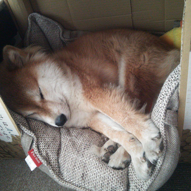 看点十足球队对抗,比赛激烈程度持续升温,足球比赛16支队伍比赛日程表