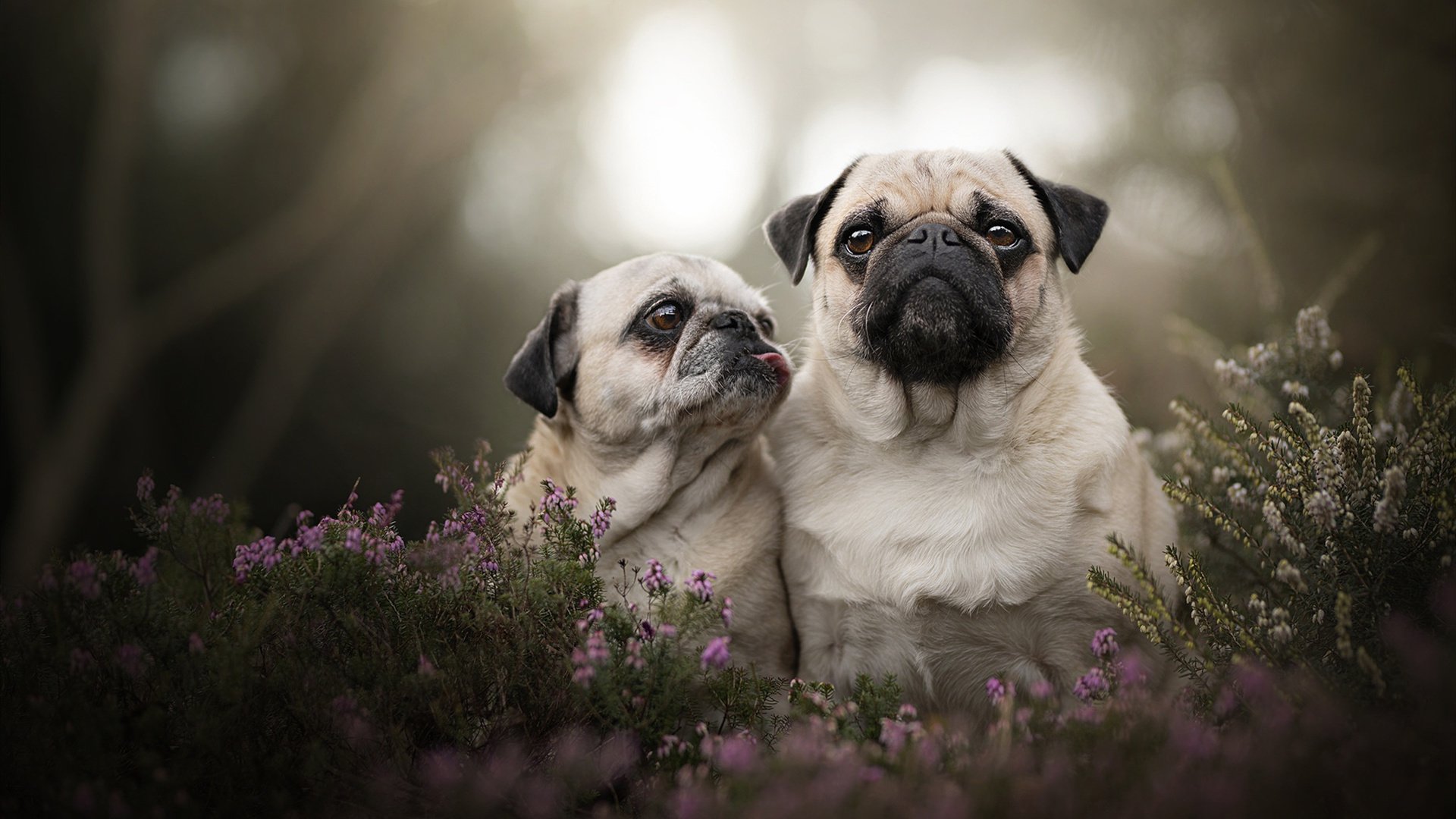 -青训体系重建的挑战与机遇，青训模式