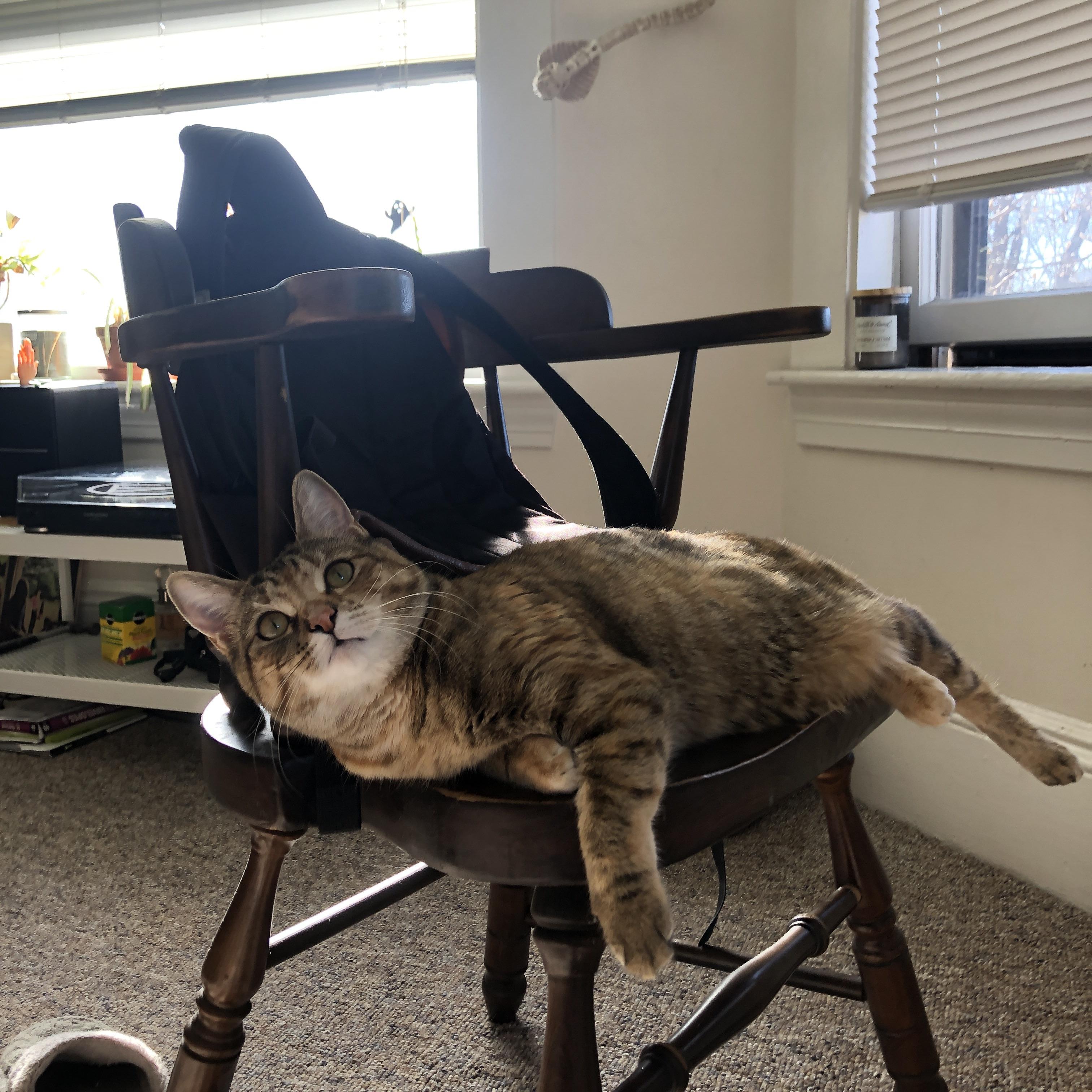 NBA球员体能训练负荷监控技术研究,nba球员身体训练