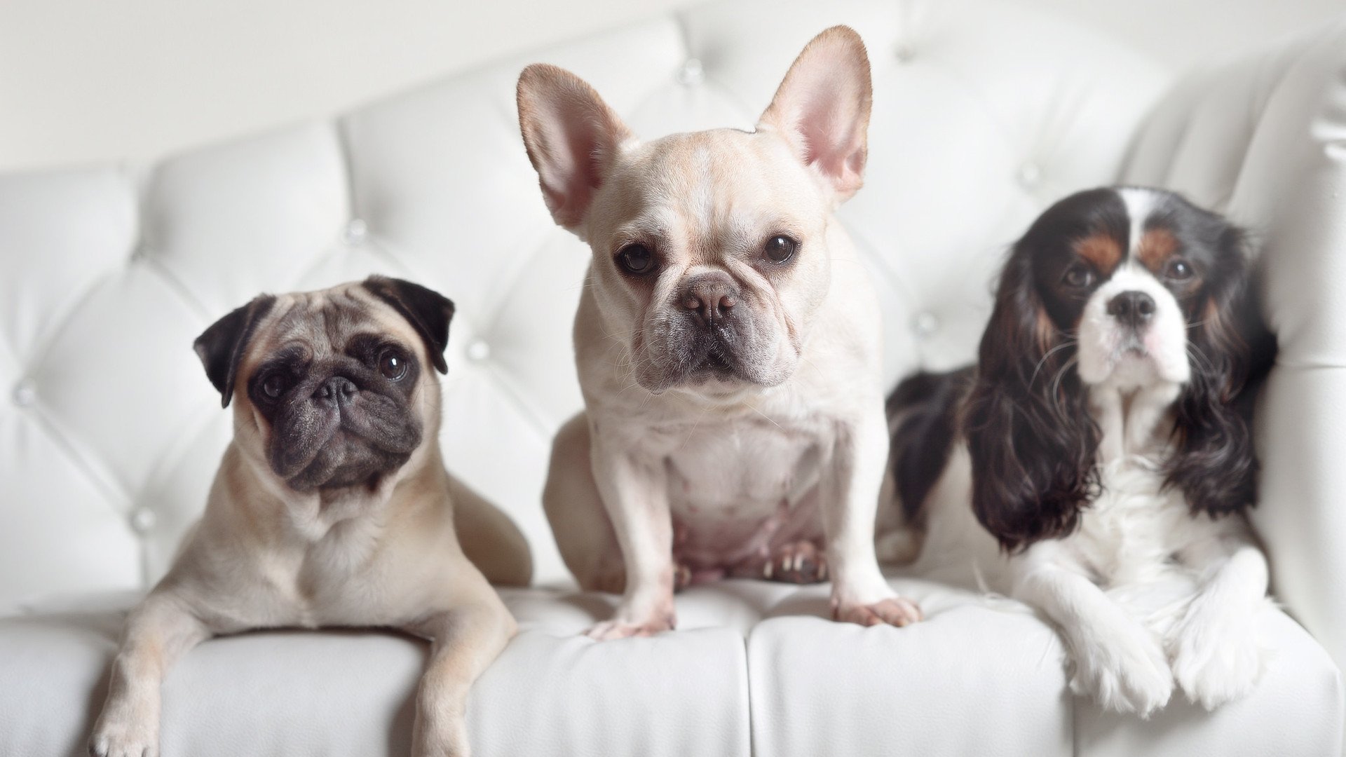 中国足球高密度对抗数据分级,中国足球高密度对抗数据分级分析