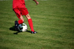 九游（jiuyou.com）游戏-英超青训体系中情绪调节训练对青少年比赛焦虑的控制作用，英超青训球员定义