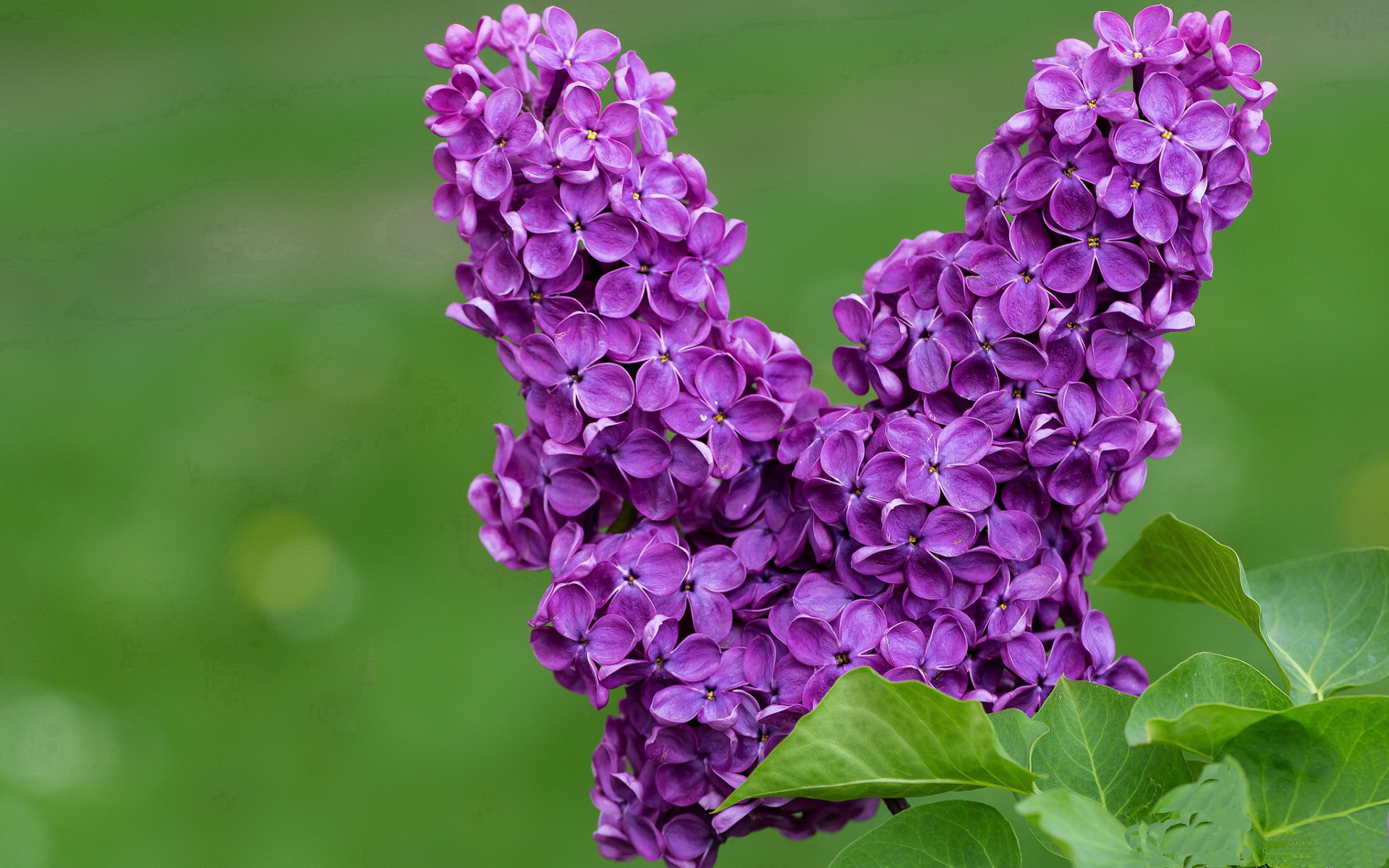 九游娱乐中心-职业球员场下形象管理缺位影响公众认同，球员形象照