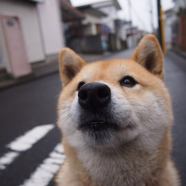-大数据分析赋能青训，全面提升青少年的个人能力和战术理解，青少年大数据平台