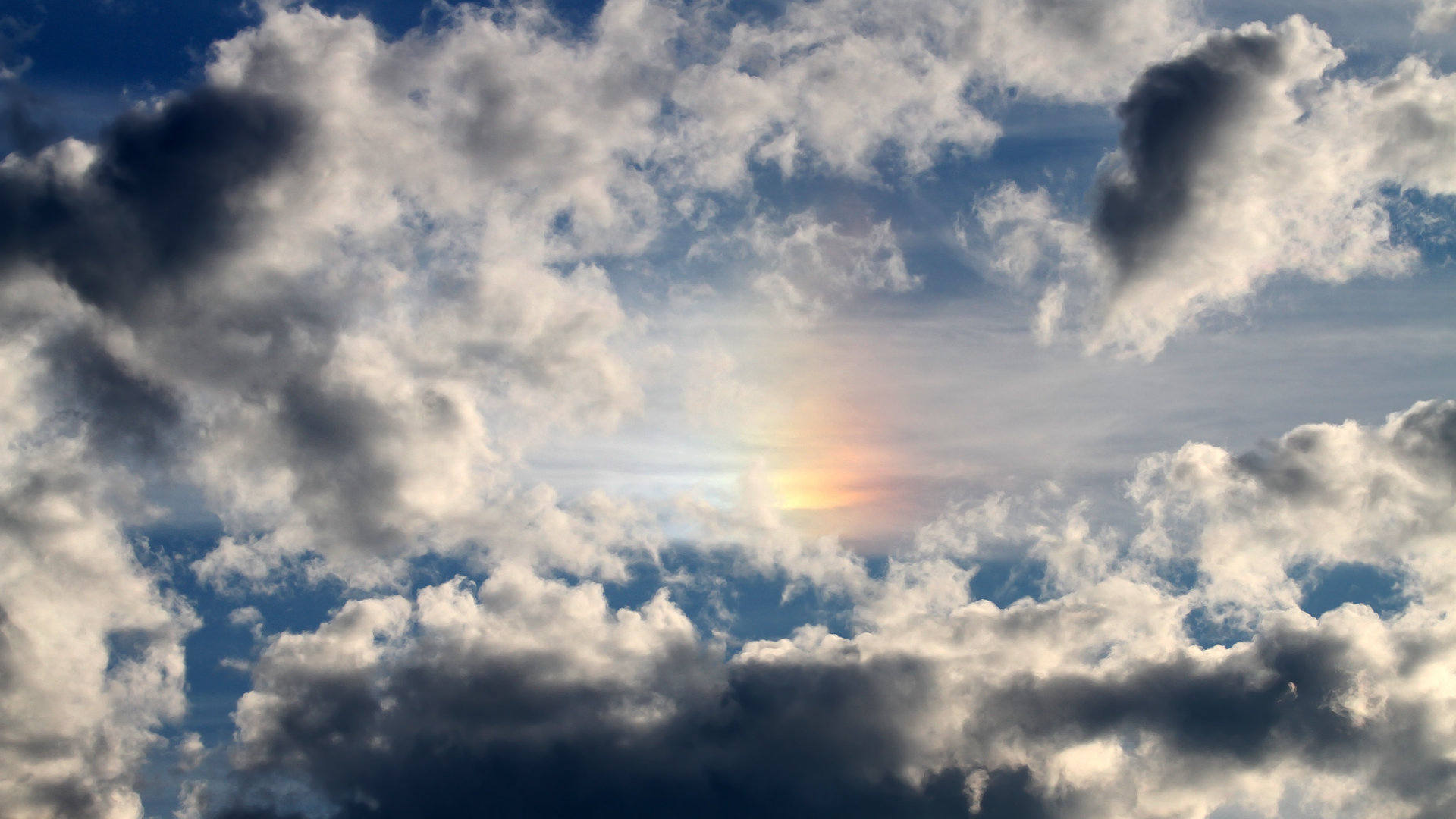 女子篮球联赛开幕式精彩纷呈,女子篮球赛视频