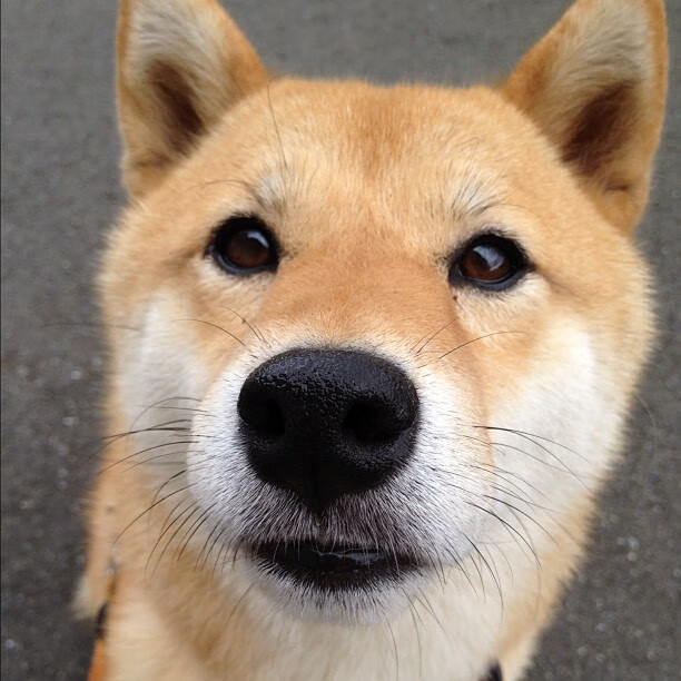 特立尼达和多巴哥队在中美洲锦标赛中积累经验，迎接未来挑战