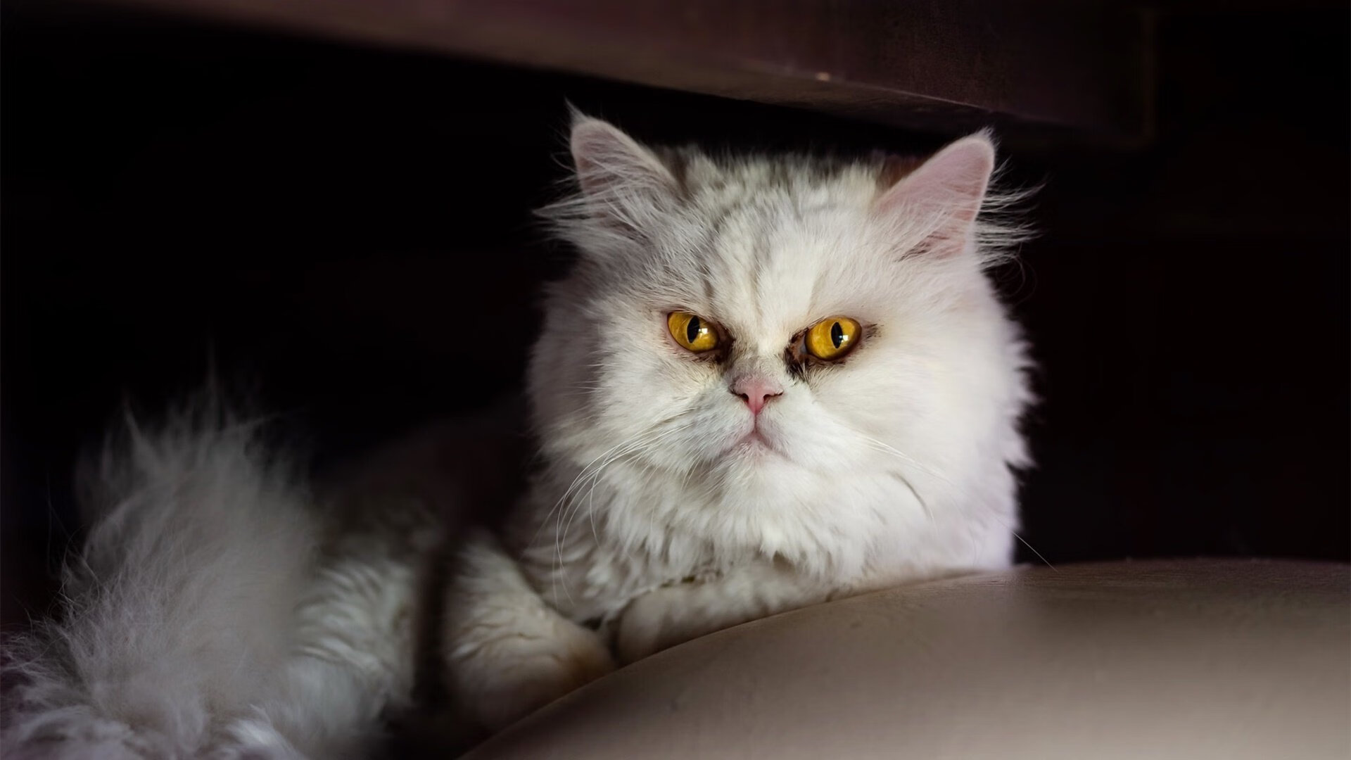 青少年篮球项目试点虚拟实训平台进行技能预演,青少年篮球培训内容有哪些