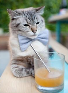 马修·图穆亚通过稳定发挥成为袋鼠队比赛中的关键人物