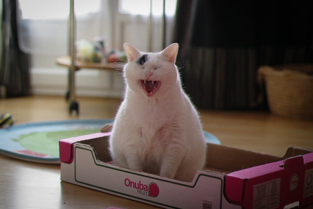 九游app官网下载-马尔尚决赛精彩瞬间成为焦点，勒马尔尚