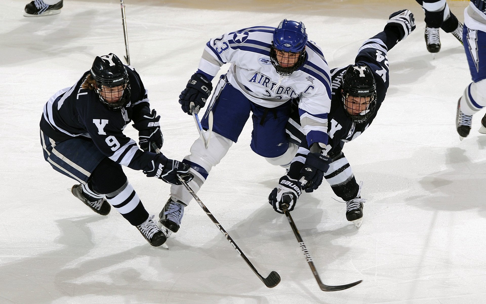 “垒球决战！新都赛场见证极速对抗”